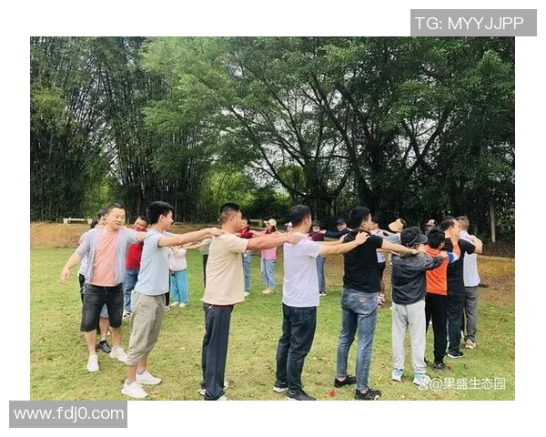 深圳排球队默契配合的秘密探讨与团队协作的成功之道