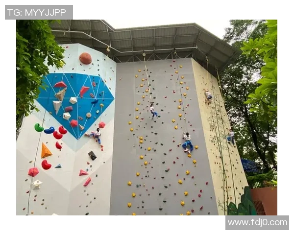 杭州攀岩队运营分析：成功经验与不足之处的深度探讨