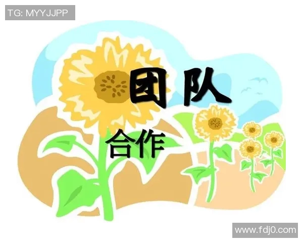 北京排球队阵地战解析：战术布局与团队协作的深度剖析